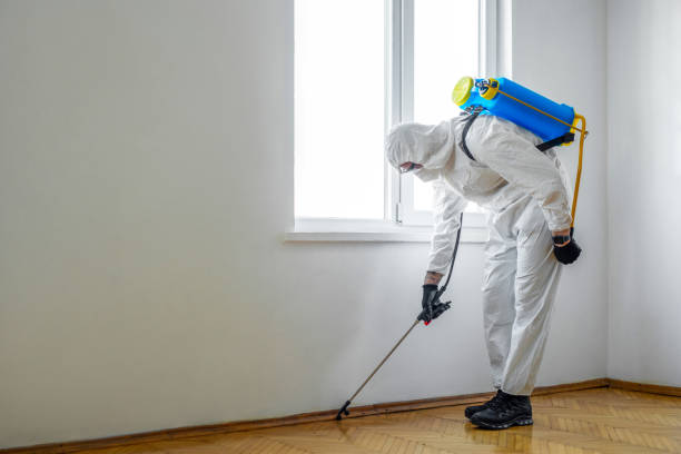 Best Fumigation Services  in Columbia City, OR